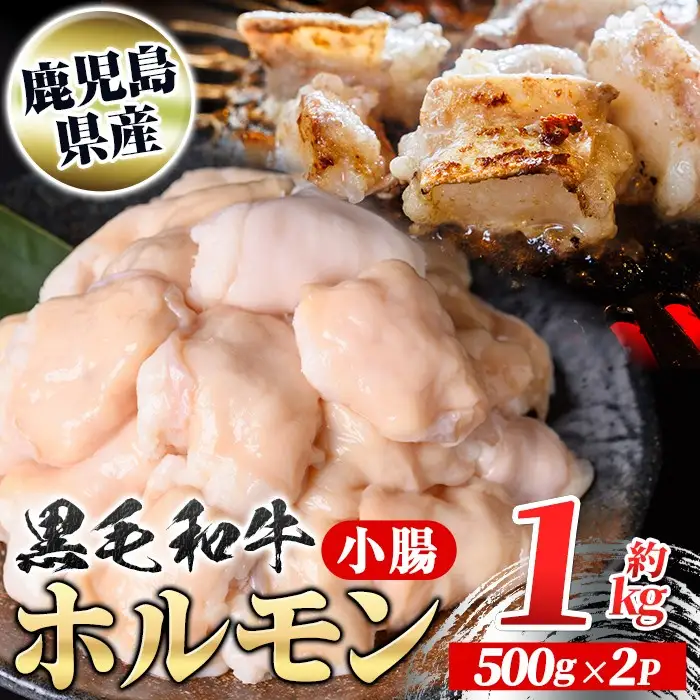 【A01039】鹿児島県産黒毛和牛 ホルモン 小腸 (計約1kg・約500g×2P) 鹿児島 国産 九州産 黒毛和牛 牛肉 ホルモン 牛ホルモン 生ホルモン モツ 小腸 真空パック 個包装 小分け 冷凍 焼肉 もつ鍋 煮込み【新村畜産】