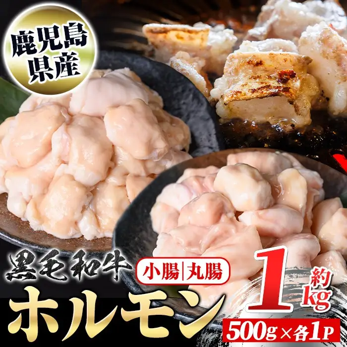【A01038】鹿児島県産黒毛和牛 ホルモン 小腸 丸腸 セット (計約1kg・約500g×各1P) 鹿児島 国産 九州産 黒毛和牛 牛肉 ホルモン 牛ホルモン 生ホルモン モツ マルチョウ ホルモンセット 食べ比べ 真空パック 個包装 小分け 冷凍 焼肉 もつ鍋 煮込み【新村畜産】