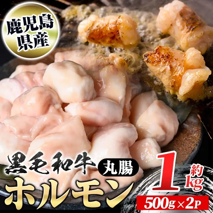 【A01037】鹿児島県産黒毛和牛 ホルモン 丸腸 (計約1kg・約500g×2P) 鹿児島 国産 九州産 黒毛和牛 牛肉 ホルモン 牛ホルモン 生ホルモン モツ 丸腸 マルチョウ 真空パック 個包装 小分け 冷凍 焼肉 もつ鍋 煮込み【新村畜産】