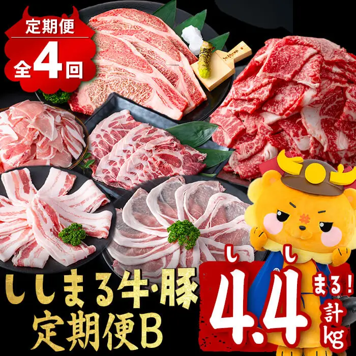 【定期便全4回】ししまる牛・豚定期便B(4ヶ月連続・計4.4kg) 黒毛和牛 国産牛 九州産 豚 豚肉 肉 牛肉 国産 4等級 小分け 真空包装 冷凍 t0051-002