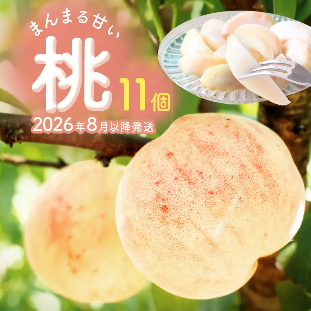 【先行受付】 富山県産 桃 11個 ＜2026年8月以降順次発送＞ ｜ 桃 先行予約