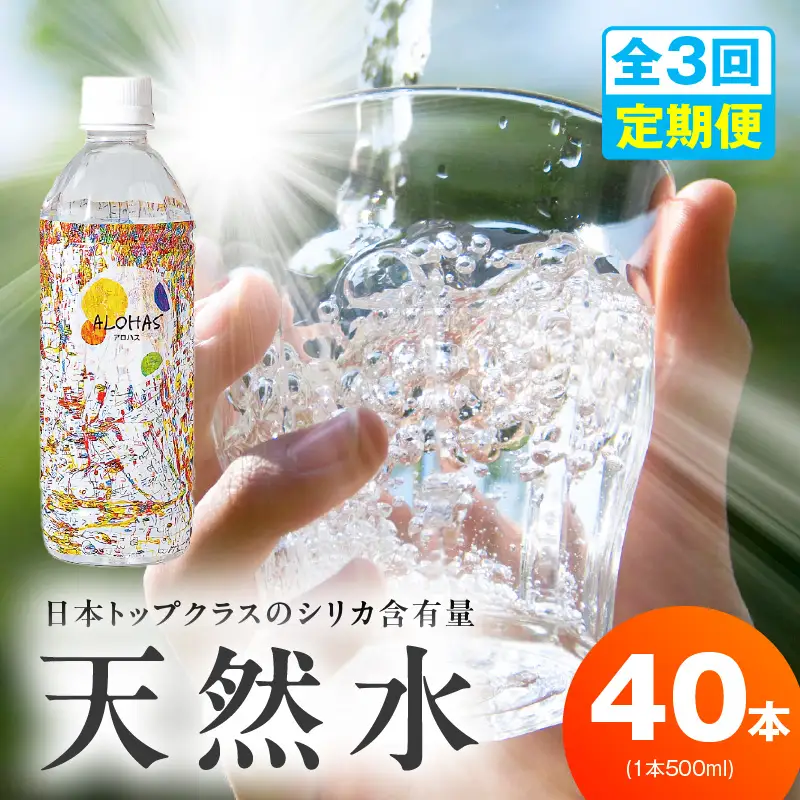 【定期便】天然水 500ml 40本×全3回