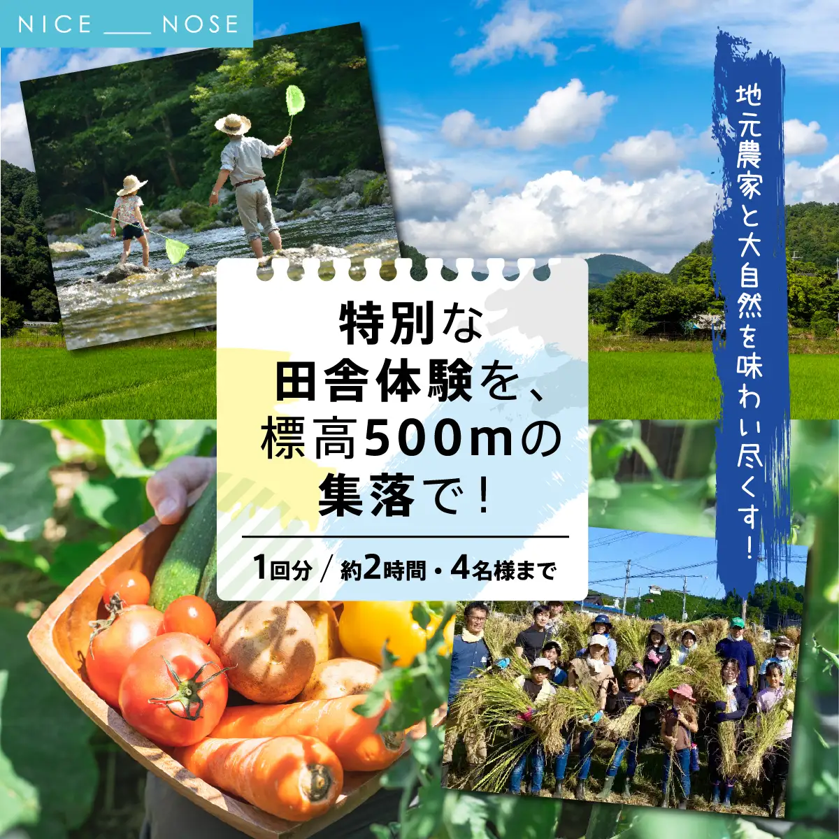 【ふるさと納税】特別な田舎体験を、標高500mの集落で！(1回分/約2時間/4名様まで) | 天王恵み会 |  農業体験 田舎体験 体験 チケット 自然体験 旅行 特別な時間 ハイキング 川遊び ホタル観賞 標高500m 日帰り アクティビティ アウトドア |  大阪府 能勢町 送料無料