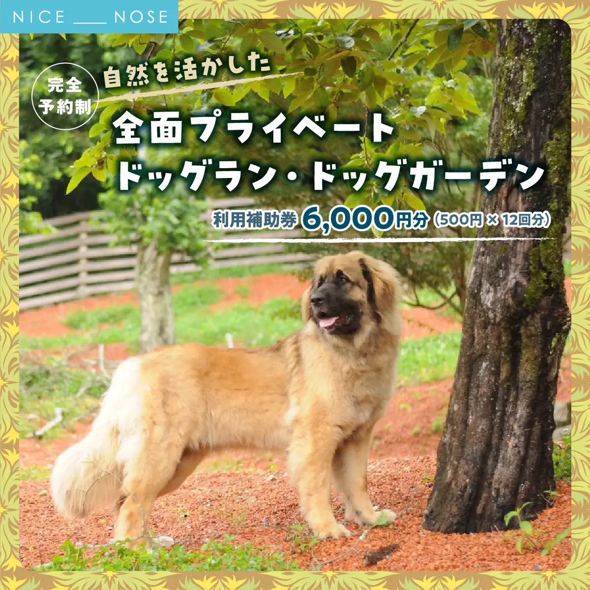 【完全予約制】自然を活かした全面プライベートドッグラン・ドッグガーデン 利用補助券 6,000円分 (500円 × 12回) | Bless Dog Oasis | ドッグラン ドッグガーデン わんちゃん 犬 ペット チケット 券 貸切 プライベート 広い 体験 レジャー 自然 運動 アウトドア【1273638】
