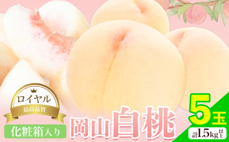岡山白桃 5玉 ロイヤル【配送不可地域あり】　桃