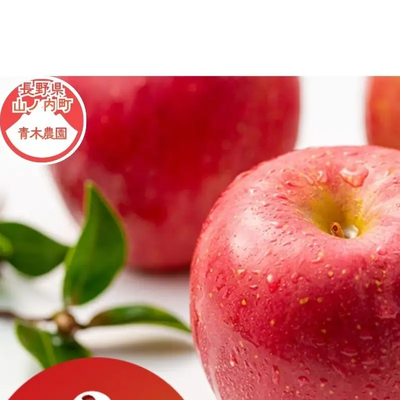 【2026年9月～発送】 紅玉約3kg 7～9玉 りんご 長野県産
