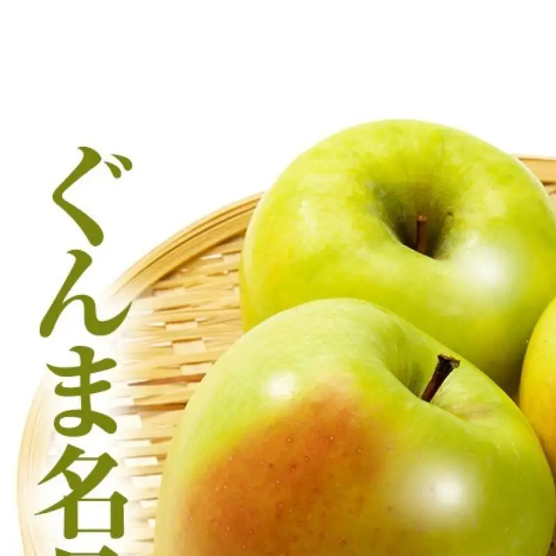 【2026年11月発送】 ぐんま名月約5kg 13～18玉 りんご 長野県産