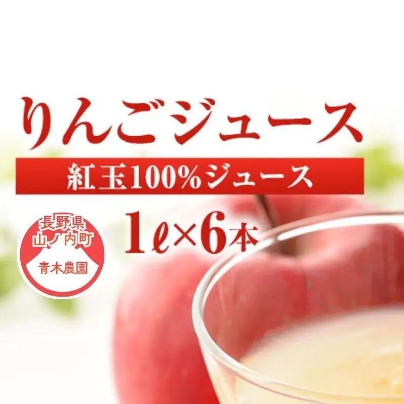 りんごジュース 紅玉ジュース1Ｌ×6本