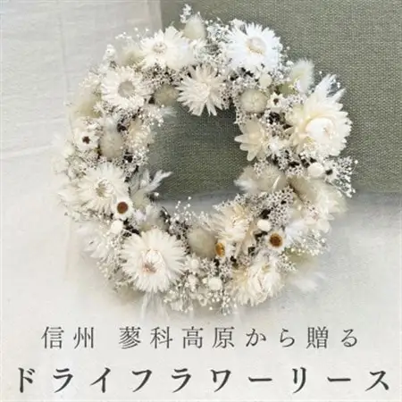 信州八ヶ岳の麓から贈るドライフラワーリースS(ホワイト)【1660989】
