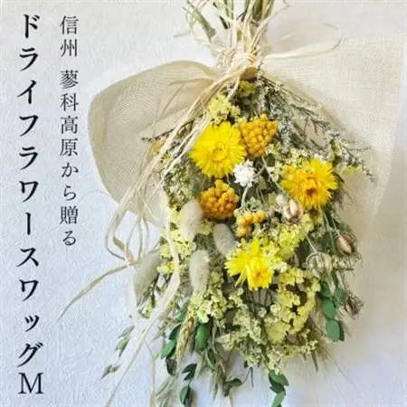 信州 八ヶ岳の麓から贈るドライフラワースワッグ M(イエロー)【1662262】