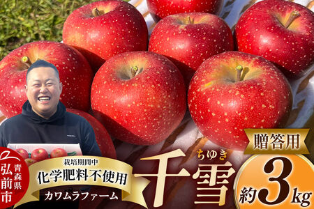 【26年10月下旬～発送】りんご 千雪 約3kg カワムラファーム【贈答用】青森 果物 フルーツ 林檎 リンゴ くだもの