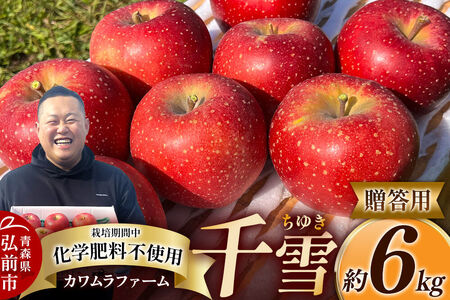 【26年10月下旬～発送】りんご 千雪 約6kg カワムラファーム【贈答用】青森 果物 フルーツ 林檎 リンゴ くだもの