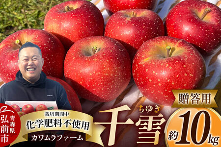 【26年10月下旬～発送】りんご 千雪 約10kg カワムラファーム【贈答用】青森 果物 フルーツ 林檎 リンゴ くだもの