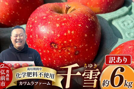 【26年10月下旬～発送】りんご 千雪 約6kg カワムラファーム【訳あり】青森 果物 フルーツ 林檎 リンゴ くだもの