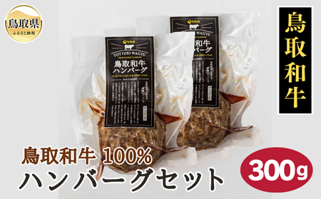 鳥取和牛100％ハンバーグセット300g_T2600390