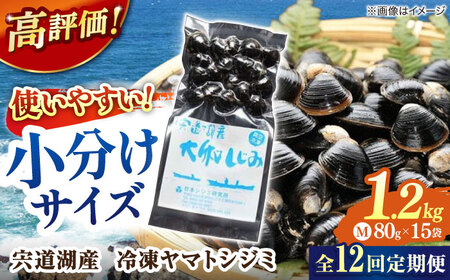 しじみ 【全12回定期便】生産量日本一！宍道湖産 ヤマトシジミMサイズ（真空冷凍） 80g×15袋 島根県松江市/有限会社日本シジミ研究所[ALBS005] しじみ しじみ