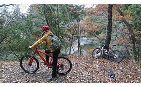 レンタルサイクル 2名様1日利用サービス券 体験チケット HNNC005