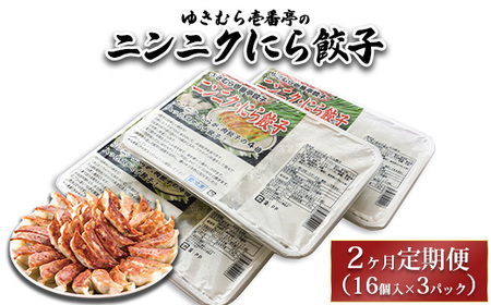 【2ヶ月定期便】ゆきむら壱番亭のニンニクにら餃子3パック(48個入り) ※離島への配送不可