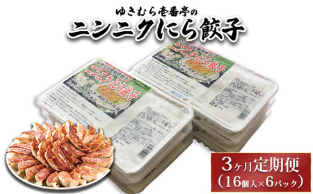 【3ヶ月定期便】ゆきむら壱番亭のニンニクにら餃子6パック(96個入り) ※離島への配送不可
