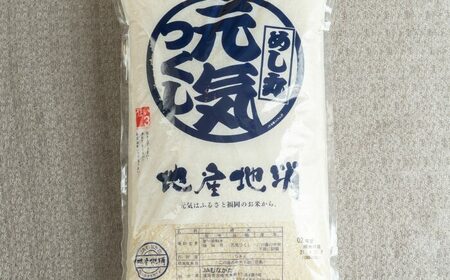 【令和7年産】果物屋さんが選んだ米 元気つくし 5kg [BGAG024]げんきつくし