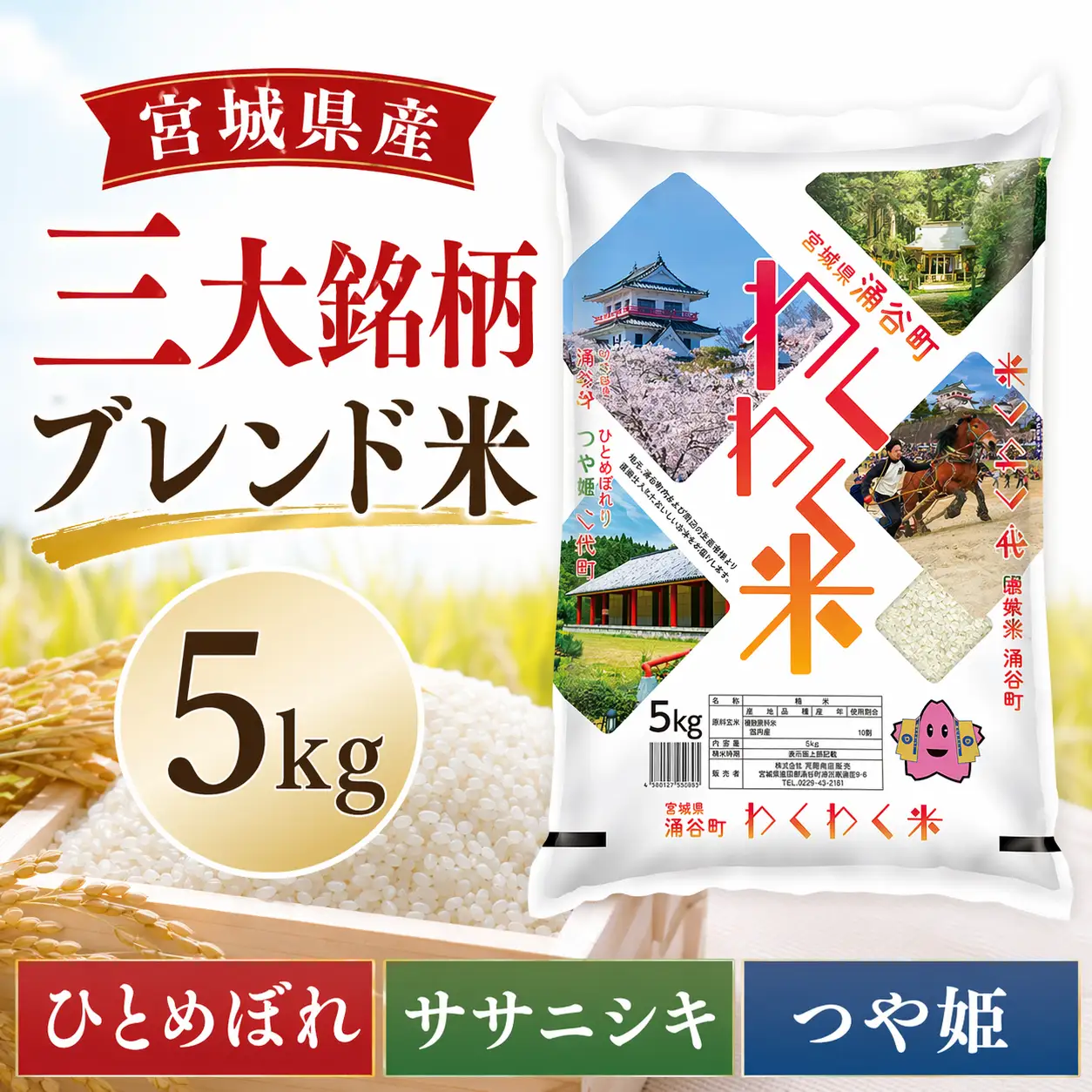 お米 【数量限定】宮城県産 三大銘柄 ブレンド米 5kg (5kg×1袋) 【araseki001】