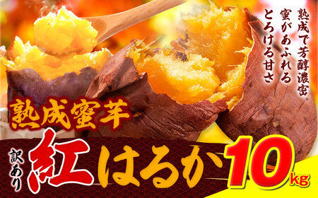 訳あり紅はるか サツマイモ 10kg 《2026年1月上旬-5月末頃出荷予定》紅はるか さつまいも 熊本県 大津町 イモ 芋 さつまいも 訳あり