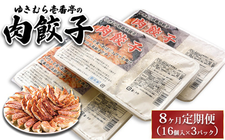 【8ヶ月定期便】ゆきむら壱番亭の肉餃子3パック(48個入り) ※離島への配送不可