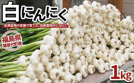 【数量限定】白にんにく 1kg 国産 猪苗代産　※沖縄、離島への配送不可　※2025年9月上旬頃より順次発送予定