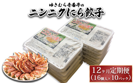 【12ヶ月定期便】ゆきむら壱番亭のニンニクにら餃子10パック(160個入り) ※離島への配送不可