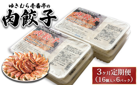 【3ヶ月定期便】ゆきむら壱番亭の肉餃子6パック(96個入り) ※離島への配送不可