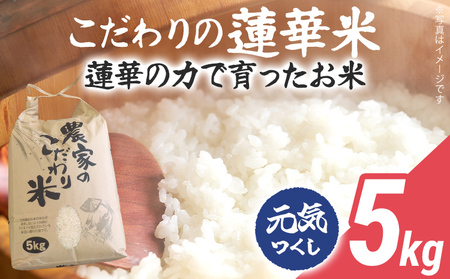 米 5kg 元気つくし 数量限定 こだわりの蓮華米 農家直送 白米 国産 おにぎり お弁当 福岡 九州 グルメ お取り寄せ