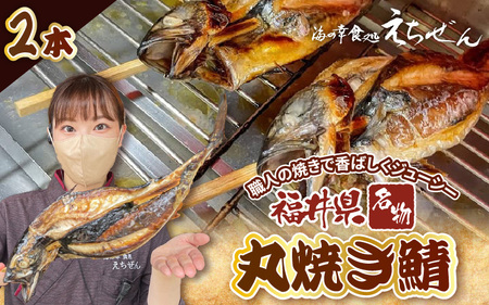 【福井県名物】丸焼き鯖 2本 サバ魚[e38-a005]