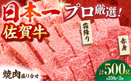 【2度の農林水産大臣賞】 佐賀牛 焼肉 盛り合わせ 500g（霜降り・赤身 各250g）【田中畜産牛肉店】 黒毛和牛 バーベキュー BBQ[HBH160]