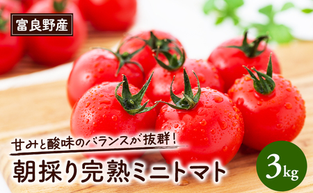【2026年夏発送】完熟 富良野 ミニトマト 約3kg 野菜 トマト 新鮮 直送 朝採り北海道