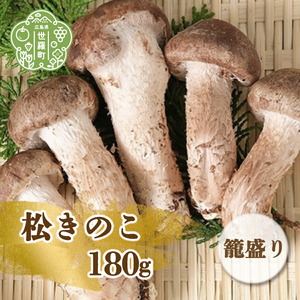松きのこ籠盛り 180g 松茸そっくりの姿にほのかな香りとシャキシャキ食感 きのこ キノコ 松茸 マツタケ 椎茸 グルメ 特産品 天ぷら 国産 世羅 A003-01
