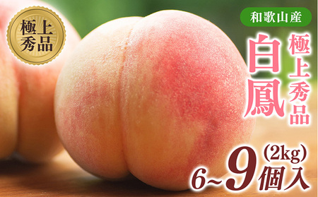 先行受付!　桃の王様【白鳳】　特秀品　約2kg　6～9個入 | 桃