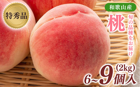 先行受付!　旬の桃　(特秀品)　約2kg　6～9個入 | 桃