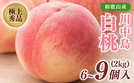 桃先行受付!　【川中島白桃】　(大玉特秀品)　約2kg　6～9個入　こだわり農家厳選! | 白桃