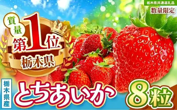 【先行予約】【栃木県共通返礼品】数量限定 とちあいか 8粒 | 栃木県 那珂川町