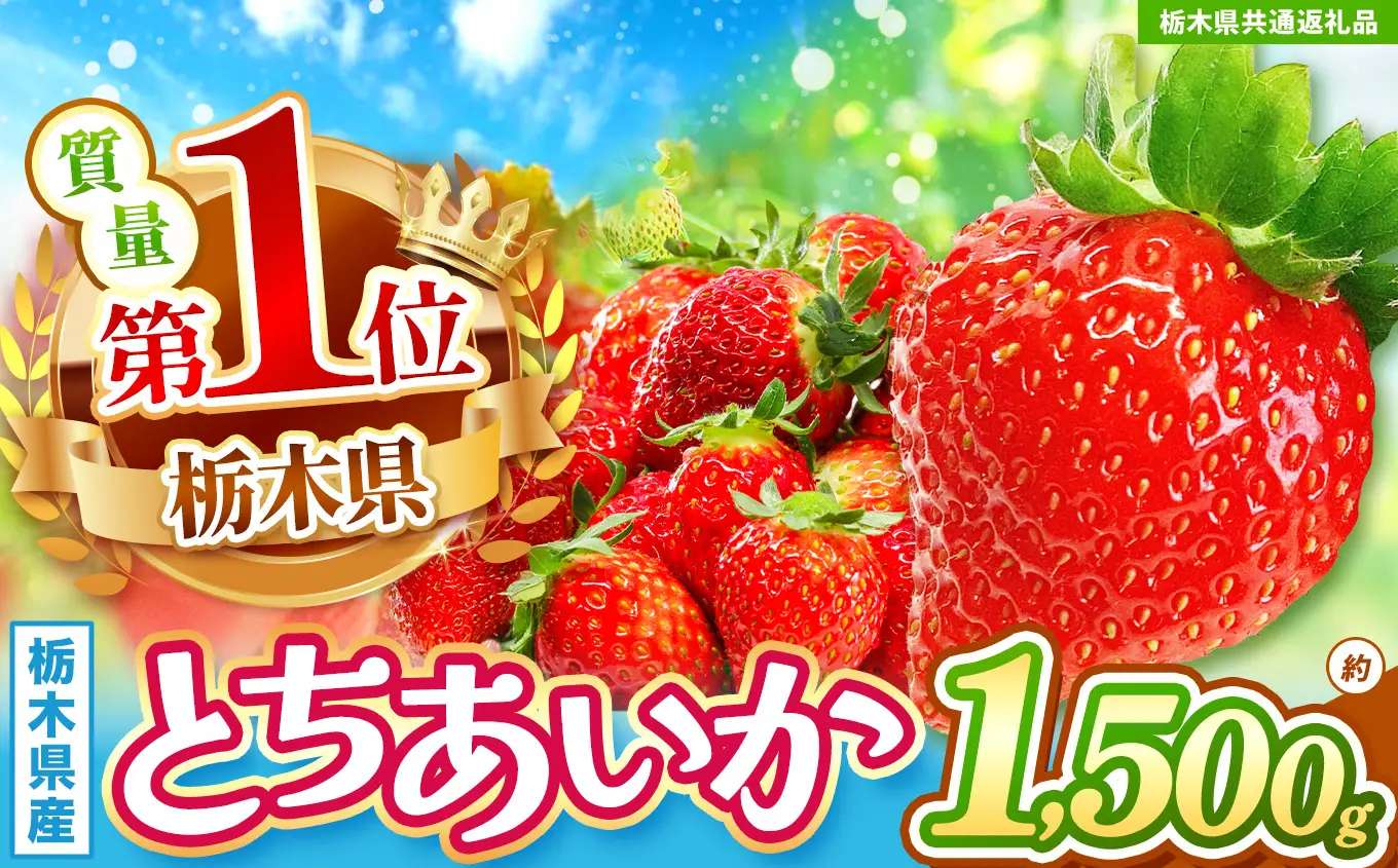 【先行予約】【栃木県共通返礼品】厳選とちあいか 6P 約1.5kg | 栃木県 那珂川町 送料無料
