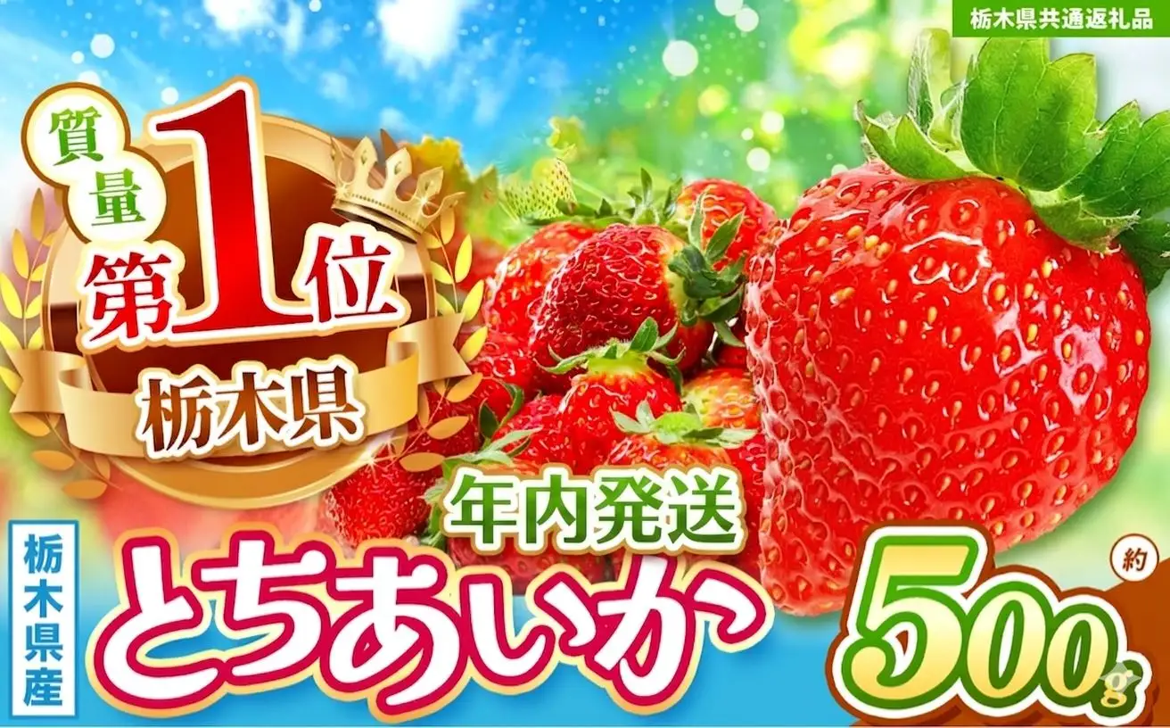 【先行予約】【栃木県共通返礼品】年内発送いちご  初摘みとちあいか 約500g| 栃木県 那珂川町 送料無料