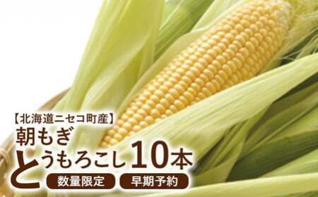 【北海道ニセコ町産】朝もぎ とうもろこし 10本 ＜数量限定・2026年早期予約・7月中旬より出荷予定＞【0202303】