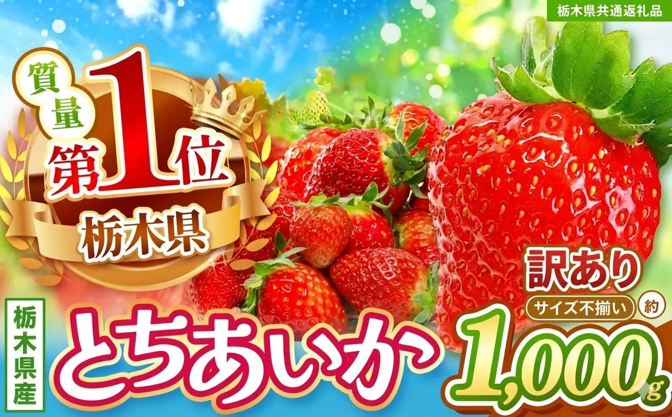 【先行予約】【栃木県共通返礼品】訳ありいちご サイズランダム 約1kg | 栃木県 那珂川町 送料無料