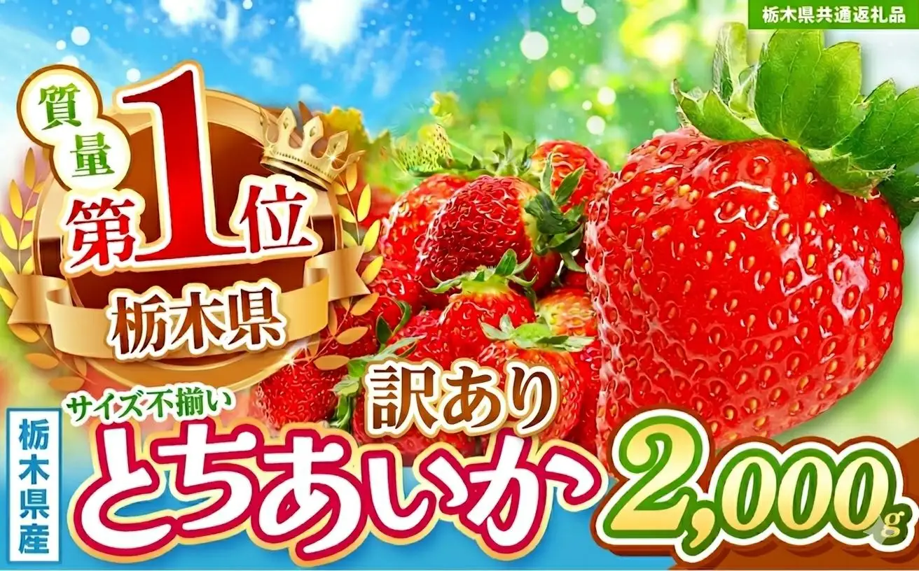 【先行予約】【栃木県共通返礼品】訳ありいちご サイズランダム 約2kg | 栃木県 那珂川町 送料無料