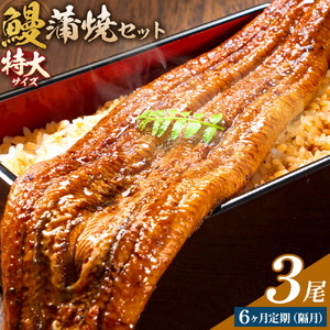【隔月定期便全6回】＼特大サイズ／ 鹿児島県産 鰻蒲焼真空セット！ 3尾 タレ・山椒付！ 株式会社薩摩川内鰻 《お申込みの翌月から出荷》 鹿児島県 さつま町 送料無料 ウナギ 丑の日 うなぎ 刻み グルメ 特大 鰻 蒲焼 真空