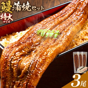 ＼特大サイズ／ 鹿児島県産 鰻蒲焼真空セット！3尾 タレ・山椒付！ 株式会社薩摩川内鰻 《30日以内に出荷予定(土日祝除く) 》 鹿児島県 さつま町 送料無料 ウナギ 丑の日 うなぎ 刻み グルメ 特大 鰻 蒲焼 真空
