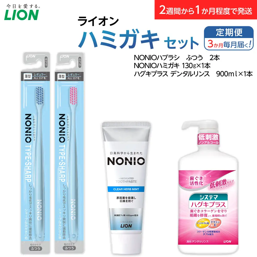 【定期便 毎月 3か月】LION ハミガキセット ｜ 日用品 ふるさと納税 歯磨き粉 歯磨き粉