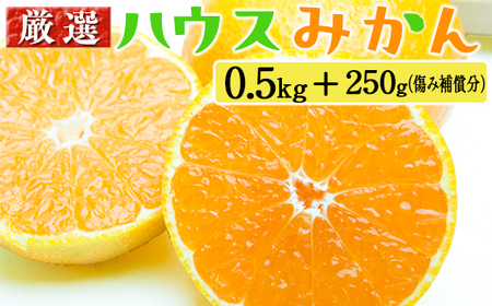 厳選 ハウスみかん0.5kg+250g（傷み補償分） | みかん
