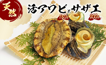 天然 活あわび 活サザエ セット 詰め合わせ アワビ 1個 サザエ 2個 活鮑 黒あわび あわび 鮑 石巻貝 貝 貝類 海鮮 海鮮セット 刺身 お刺身 BBQ バーベキュー 冷蔵 淡路島 洲本市