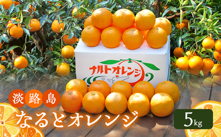 淡路島 なると オレンジ 5kg なるとオレンジ フルーツ 果物 春 旬 兵庫県 洲本市